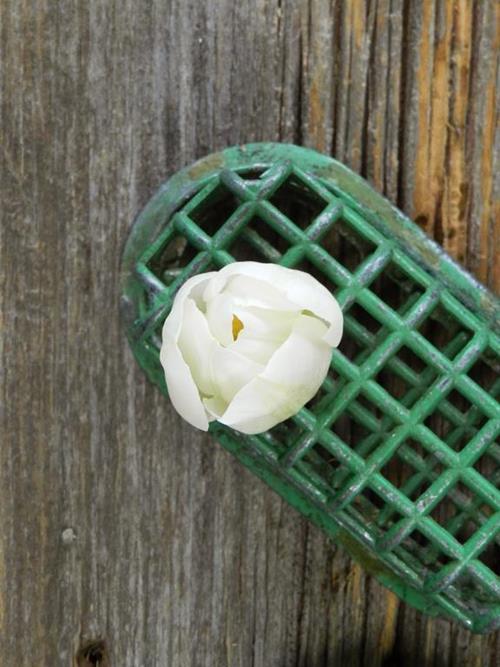 Wholesale White Flowers Online FlowerFarm